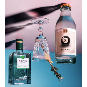 Pairing Guide for StrangeLove tonics and our gin range