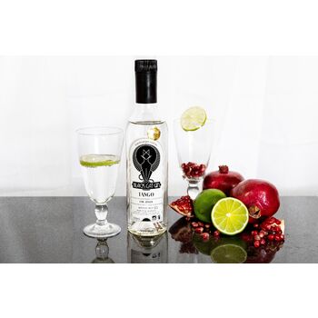 Black Cat Gin - refreshing summer cocktail recipes